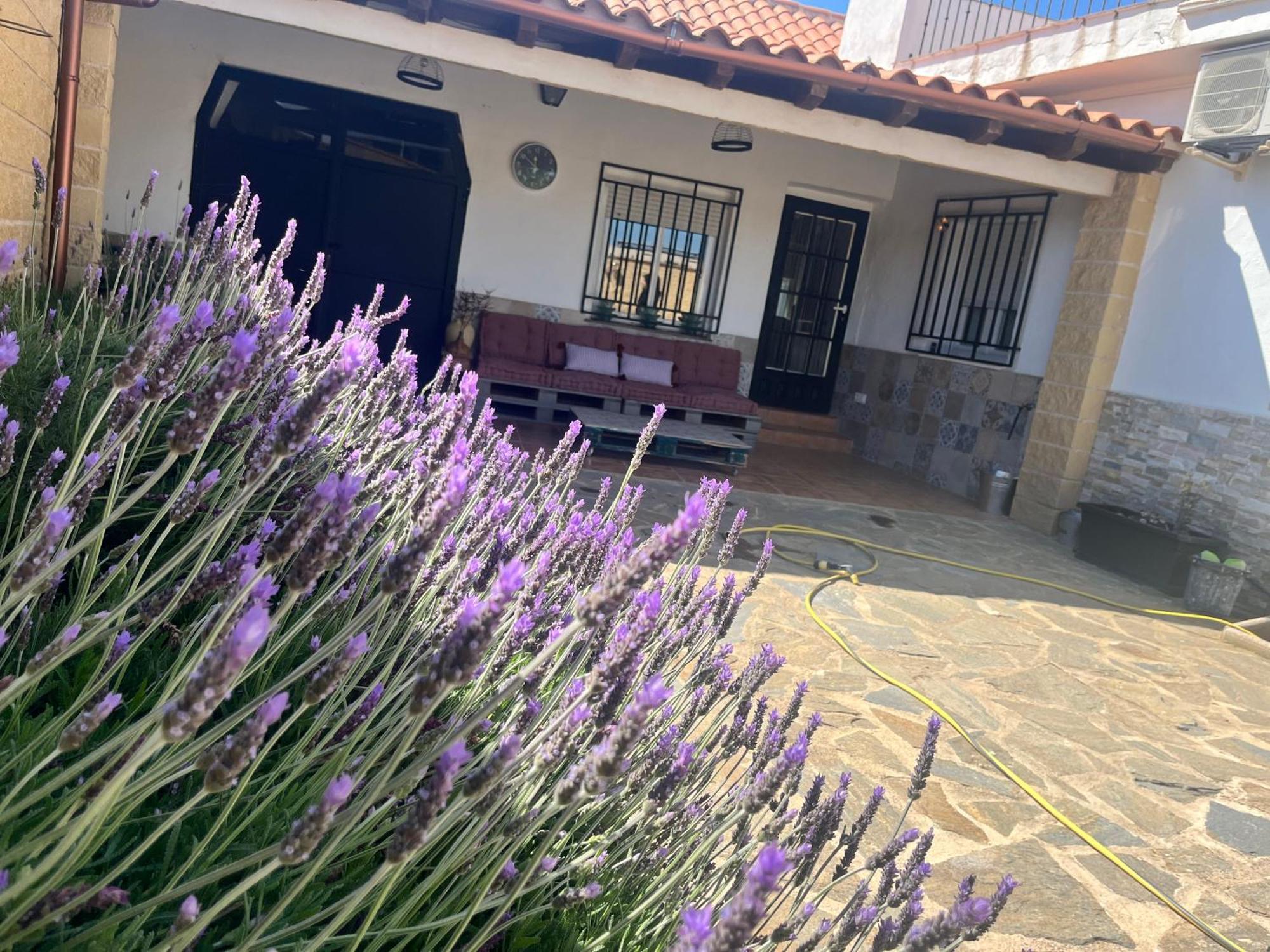 Casa Rural Valentina Almonacid de Toledo Exterior photo